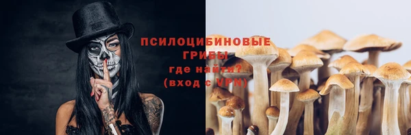 синтетический гашиш Бородино
