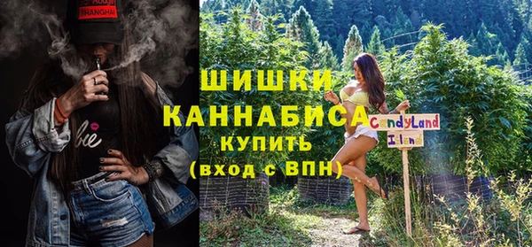индика Богородск