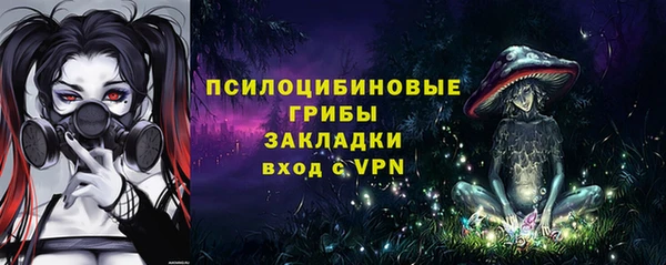 прущие грибы Верея
