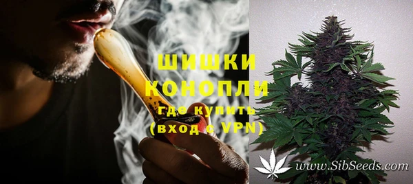 apvp Богородицк